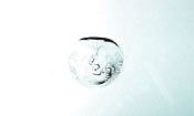 Bulls Eye Chip